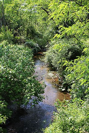 Fades Creek looking downstream