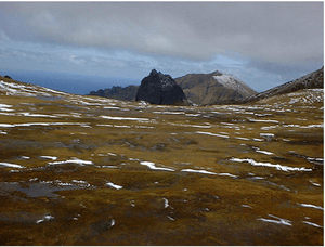 Gough island top view.png