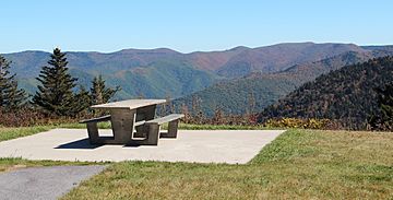 Haywood-Jackson Overlook, October 2016 1 (cropped).jpg