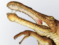 Irritator dinosaur.png