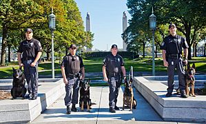 K-9 Units