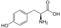 L-Tyrosin - L-Tyrosine.svg