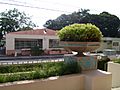 Large planter and buildings in Humacao barrio-pueblo, Puerto Rico