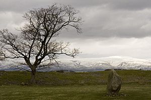 Mayburgh Henge - geograph.org.uk - 740022