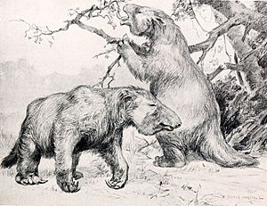 Megatherium americanum