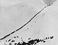 alt=Historical photograph of a dense line of miners climbing over the Chilkoot Trail during the Klondike Gold Rush.