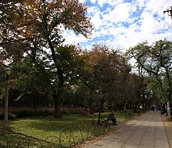 Nth terrace sidewalk