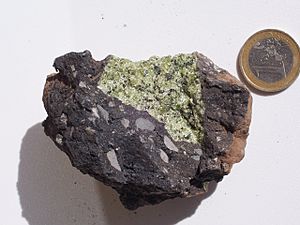 Peridotitic mantle xenolith