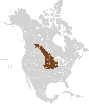 Poliocitellus franklinii map