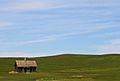 Prairie Homestead