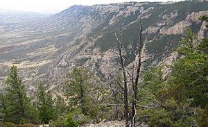 Pryor Mountains - Montana