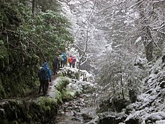 Puck's Glen winter ravine