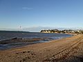 StHeliersBeachAucklandKiteSurfer