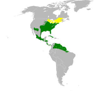 Sturnella magna map.svg