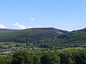 Tibradden Mountain