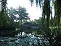 Tsinghua Garden4