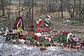 Tu-154-crash-in-smolensk-20100410-13