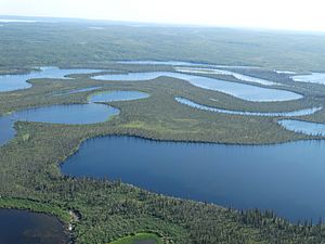 View over Mackenzie Delta from Cessna 172 - En route from Inuvik to Tuktoyaktuk - Northwest Territories - Canada - 01