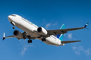 WS YYC 737 MAX 1.jpg