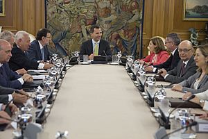 180714ConsejoZarzuela04