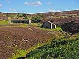 2015 Grinton Smelting Mill