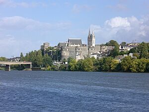 Angers vue generale