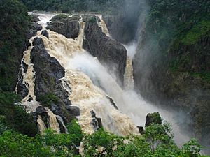 Barron falls january2005