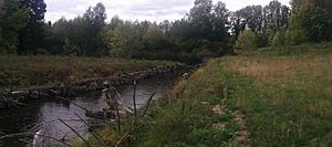 Bear Creek Sammamish River confluence