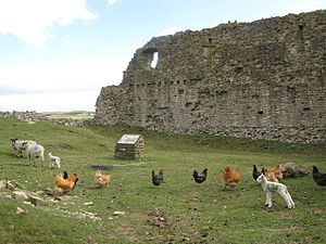 Bewcastle (7) - geograph.org.uk - 1881500