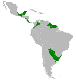 Botaurus pinnatus map.svg