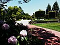 Carolands Chateau- Entry Courtyard view across Gardens 2013