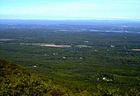 Catskill Mt House View