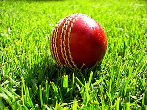 Cricket ball on grass