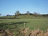 Danestown Ringfort - geograph.org.uk - 1702183.jpg