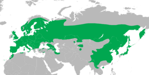 Dendrocopos major distribution map.png