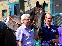 Denman at Sandown in 2011