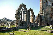 Elgin Cathedral south aisle windows.jpg