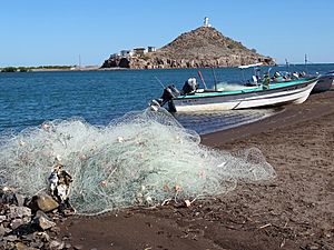 Estuary Scene - Mulege - Baja California Sur - Mexico - 02 (23643542419)