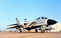 F-14A Tomcat of VF-126 c1993