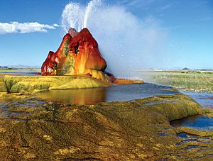 Fly geyser