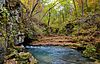 Greer Spring-Oct2013-067.jpg