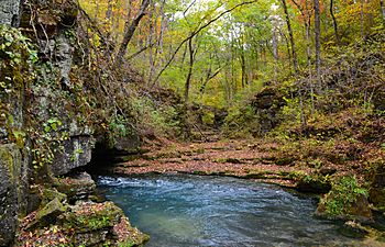 Greer Spring-Oct2013-067.jpg