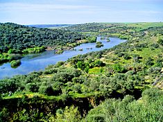 Guadiana river.jpg