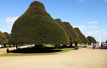 Hampton court garden (2016)