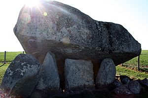 IMG BrownshillDolmen.jpg