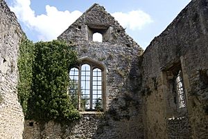 Inside Godstow Nunnery Ruins - geograph.org.uk - 901076.jpg