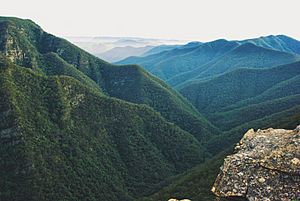 Kanagra-Boyd National Park