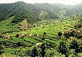 Khaledafridi-my-beautiful-village-tirah-valley-khyber-agency-fata1