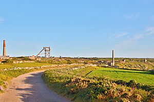 Levant Mine 3