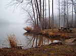 Lums Pond State Park table.jpg